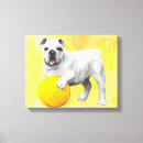 Search for attentive art Pet