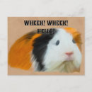 Search for piggies postcards Cute