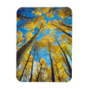 Search for danita delimont magnets Aspen