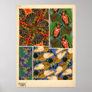Search for vintage insect art Pattern