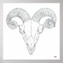 Search for square sheep posters Black