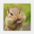 Search for cheeky magnets Animal