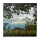 Search for scenery tiles Beautiful