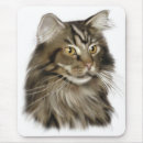 Search for maine coon cat mousepads Tabby