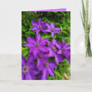Search for touches cards Thinking of you