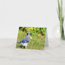 Search for jay cards invites Bird lover