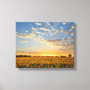 Search for sunflower canvas prints Sunset