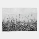 Search for kitchens photography Black and white