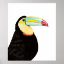 Search for tropical toucan posters Watercolor