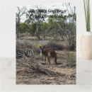 Search for kangaroo birthday cards Marsupial