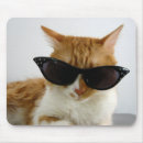Search for sunglass mousepads Cat