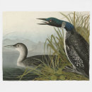 Search for common loon home living Great northern diver