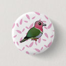Search for pigeon badges Cute