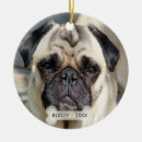 Search for pug decor Typography