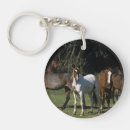 Search for mustang key rings Wild