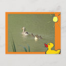 Search for wild duck postcards Pond