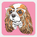 Search for cavalier king charles spaniel stickers Purebred