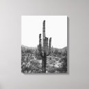 Search for desert cactus canvas prints Arizona