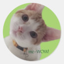 Search for curious cat stickers Funny