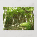 Search for trails photography National park