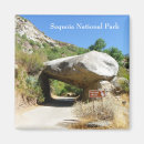 Search for tunnel magnets Nature