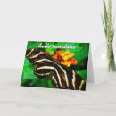 Search for butterfly sayings cards Inspirational quote