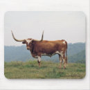 Search for longhorn electronics Steer