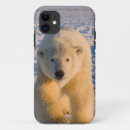 Search for ice bear iphone cases Fauna
