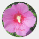 Search for delicate stickers Girly