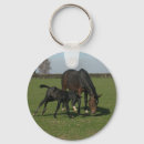 Search for breeder key rings Farm