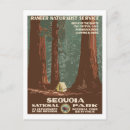 Search for national park travel postcards Forest