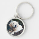 Search for puppies key rings Young animal