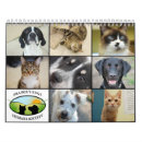Search for bunny calendars Rescue