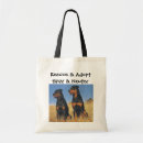 Search for spayed bags Dog