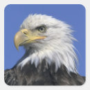 Search for haliaeetus stickers Alaska