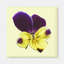 Search for ups magnets Flower