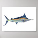 Search for marlin posters Angler