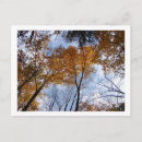 Search for autum postcards Foliage