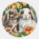 Search for little rabbit stickers Cute