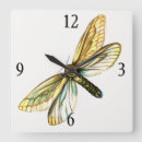 Search for moth clocks Butterfly