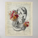 Search for obstetrics posters Obgyn