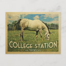Search for college postcards Texas