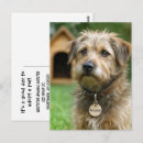 Search for backyard postcards Cute