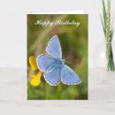 Search for blue butterfly birthday cards Insect