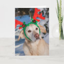 Search for funny reindeer cards Snow