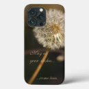 Search for dandelion cases Botanical