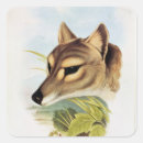 Search for tasmania stickers Animal