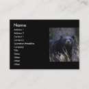 Search for bear business cards Outdoors