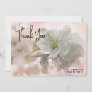Search for apple tree blossom cards Bloom