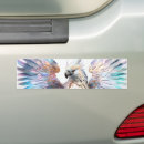 Search for detailing car accessories Detailed